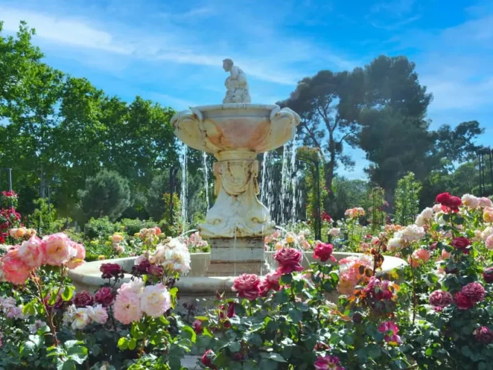 L’utilisation des fontaines de jardin pour créer un espace de détente et de beauté